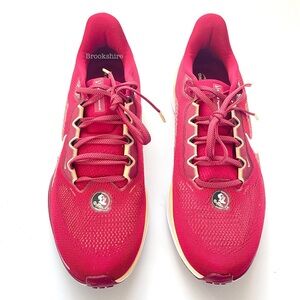 Nike Air Zoom Pegasus 41 Florida State Shoes Men’s Sizes 9 & 11.5 FZ5114-600